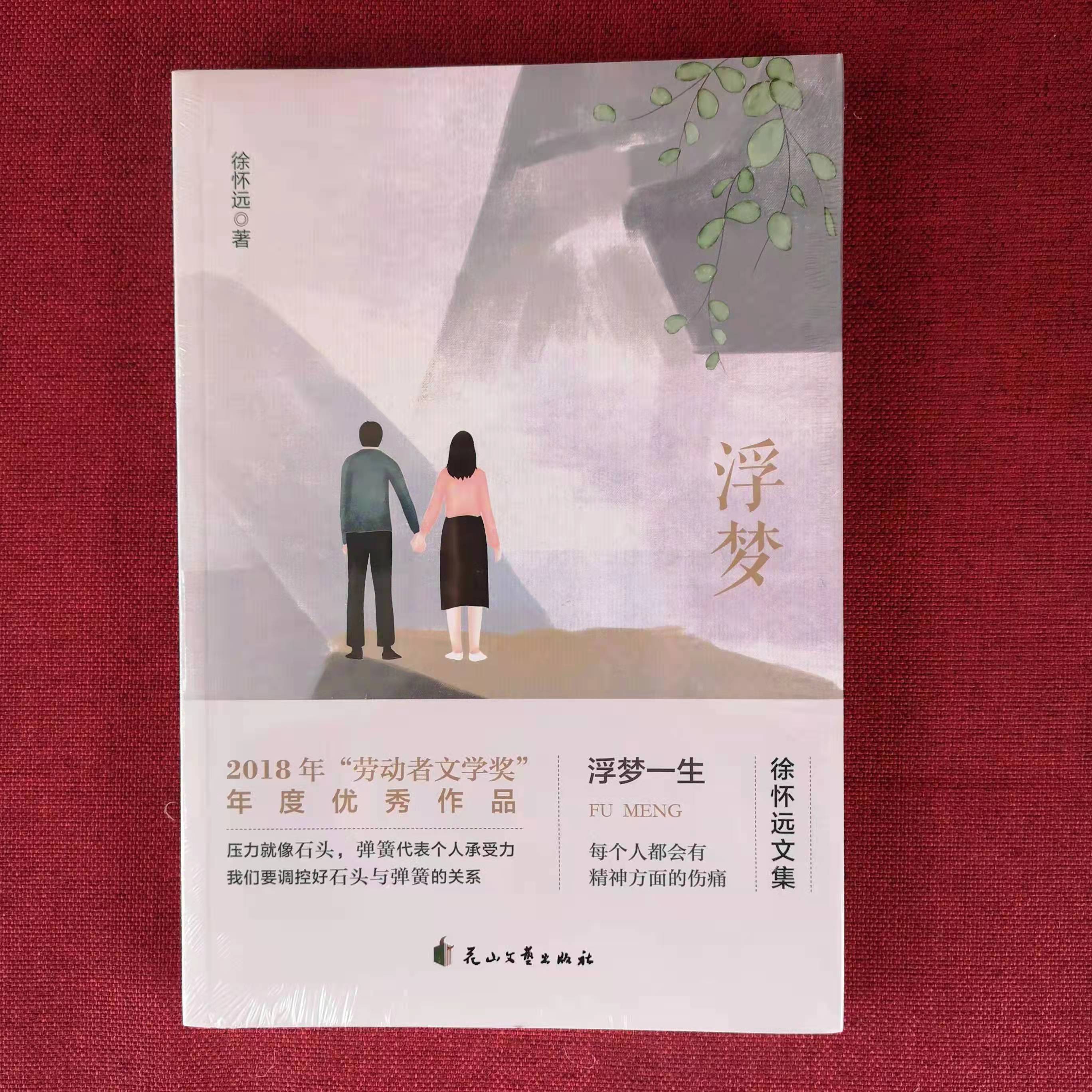 徐怀远长篇精神疾病题材小说《浮梦》出版