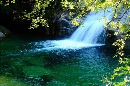 从汉白玉的岚桥,走向成片的花间,春天的美丽景色一览无余