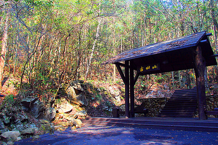 神奇三怪古田山旅行游记记之二十二