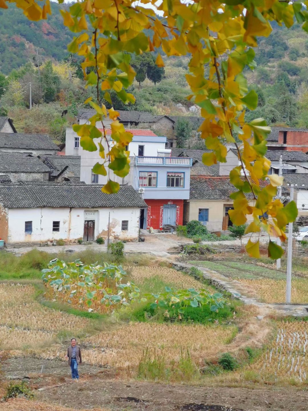 组诗拾光|秋到麻城黄土岗镇