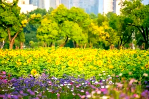 5d6034a85edf8db1a8c2ad6e8ddd0e5b544e74de.jpg