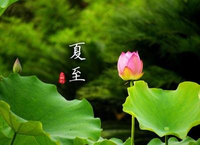 夏至图片1.jpg