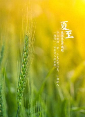 夏至图片0.jpg