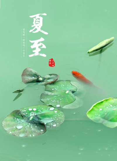 夏至图片7.jpg