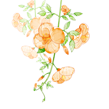 001.png
