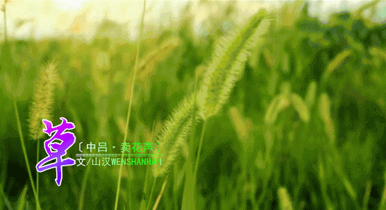 d9c6ec80-5000-11f0-bb9d-db4293b1a5d1.gif