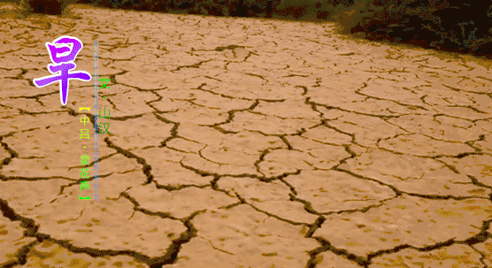 24fde740-500a-11f0-bb9d-db4293b1a5d1.gif