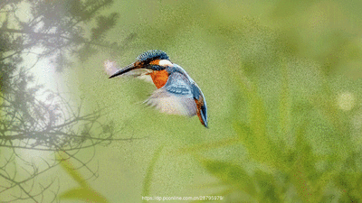 t01ee84958503daa704.gif