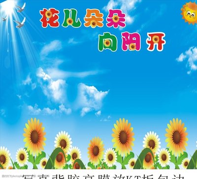 葵花向太阳图片1.jpg
