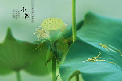 小暑3.jpg