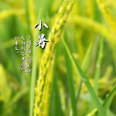 小暑11.jpg