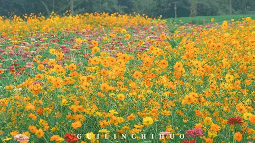fad5b5af13b9493ca04d6bee2fab72da.gif