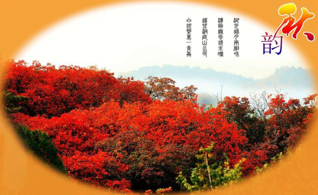 QQ_1758302609827.png