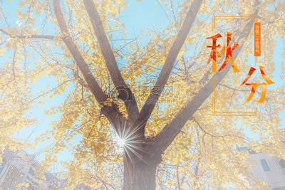 秋分1.jpg