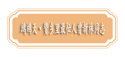 鹧鸪天•赞乡里最忙人曾新林同志.png