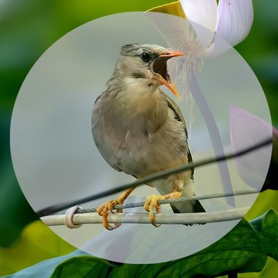 t04a9d25e2a42e9f7b3.jpg