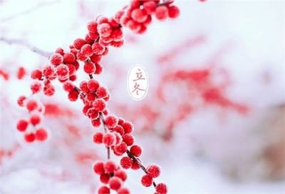 立冬.jpg
