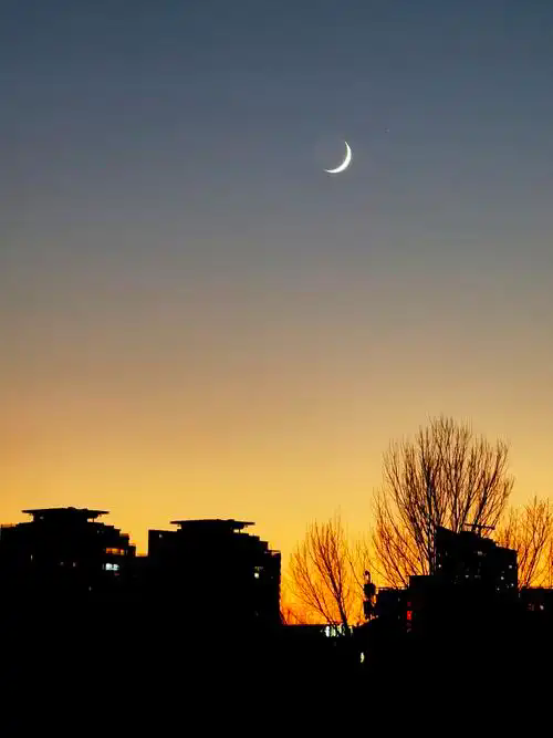 u=2821517311,903851663