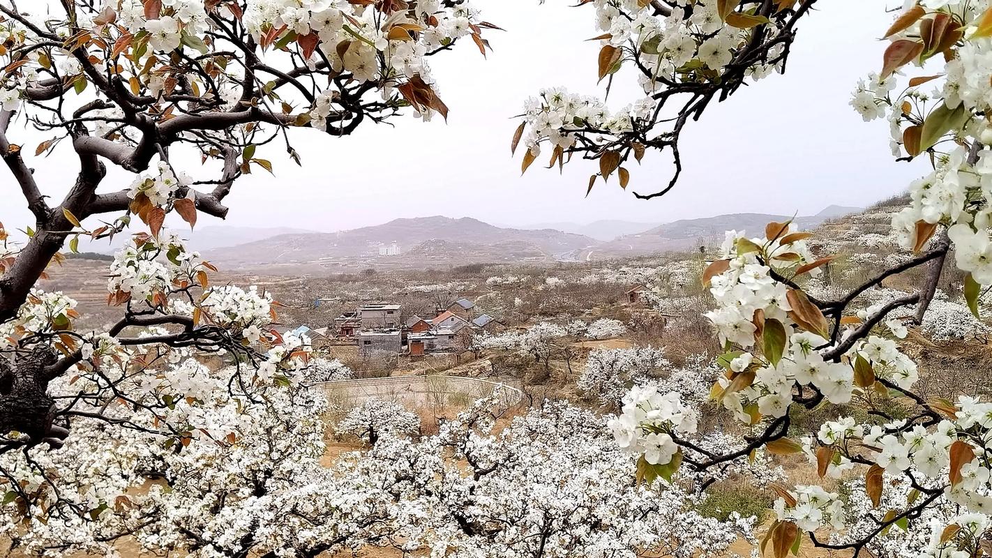 u=2903806102,2863781920