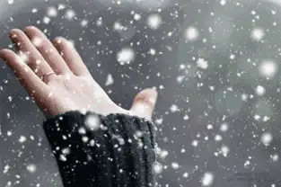 飘雪的情思（散文诗）