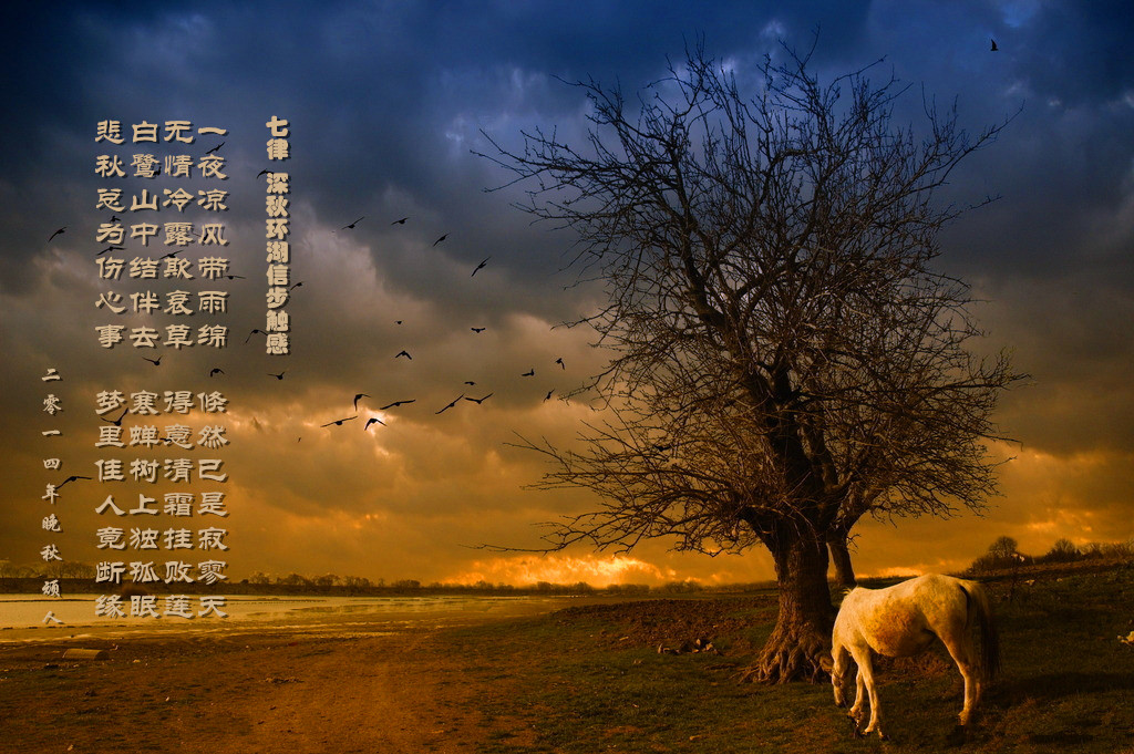 64七律秋.jpg
