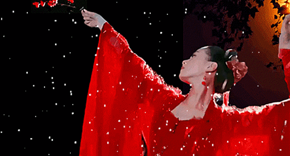 梅雪.gif