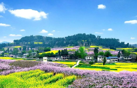 QQ_1775533552341.png