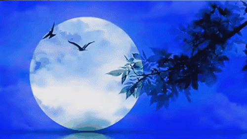 月明.gif