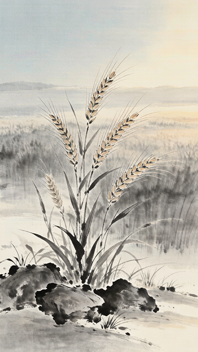 cabd1a4858686.png