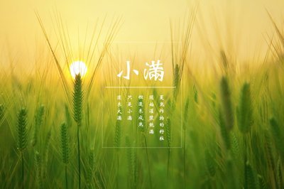 小满2.jpg