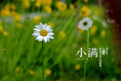 小满.jpg