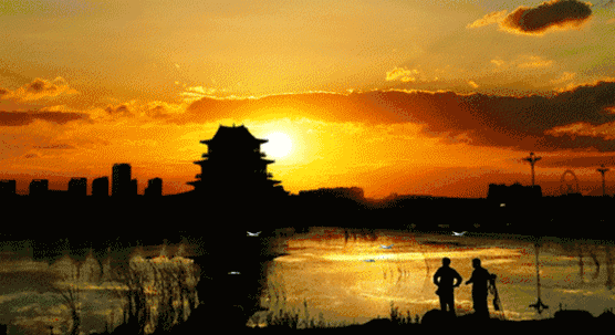 6.gif
