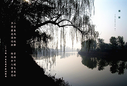 094835wjjjb84i.jpg
