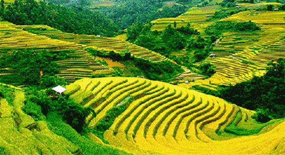 山地动图.gif