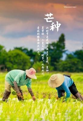 芒种6.jpg