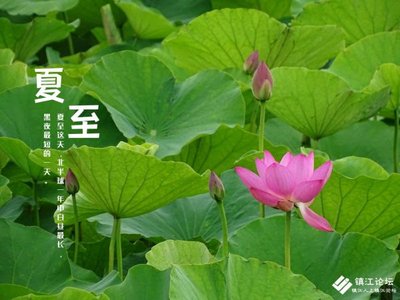 夏至5.jpg