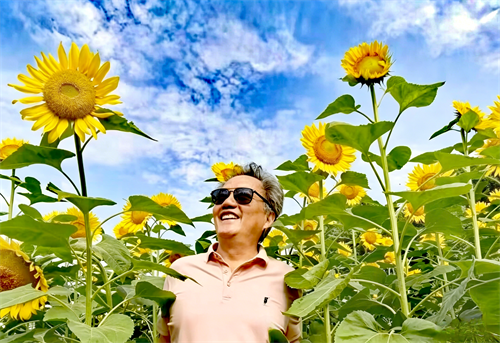葵花.png