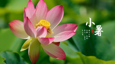小暑6.jpg