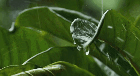 下雨了.gif