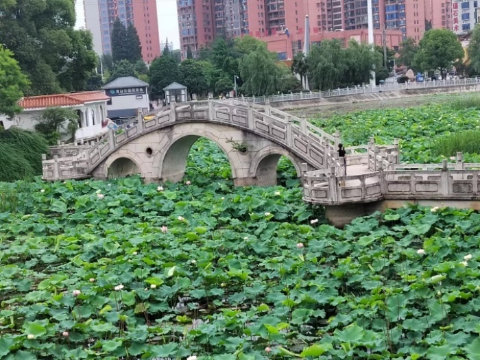 微信图片_20240602072734_副本_副本.jpg