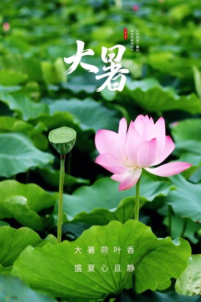 大暑7.jpg