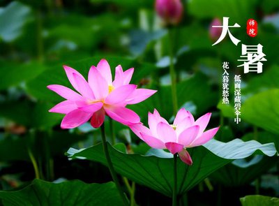 大暑5.jpg