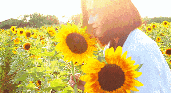 4.gif