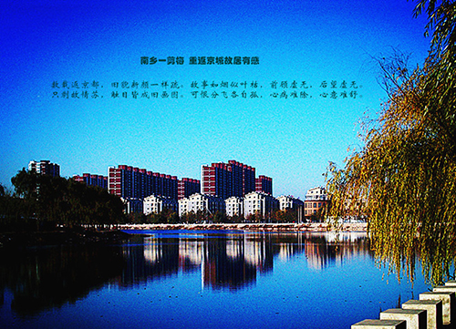 143917y51f1sf0.jpg