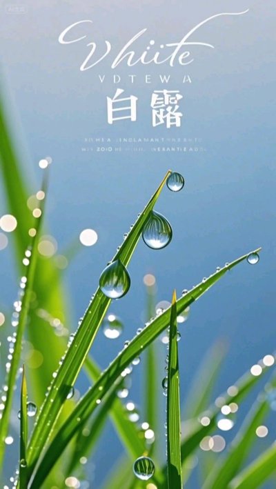行香子·白露.jpg