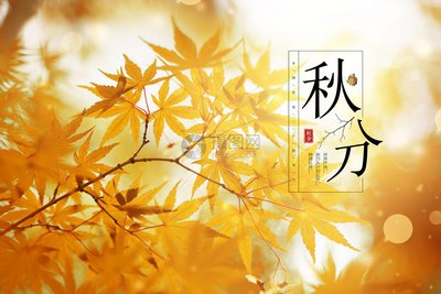 秋分5.jpg