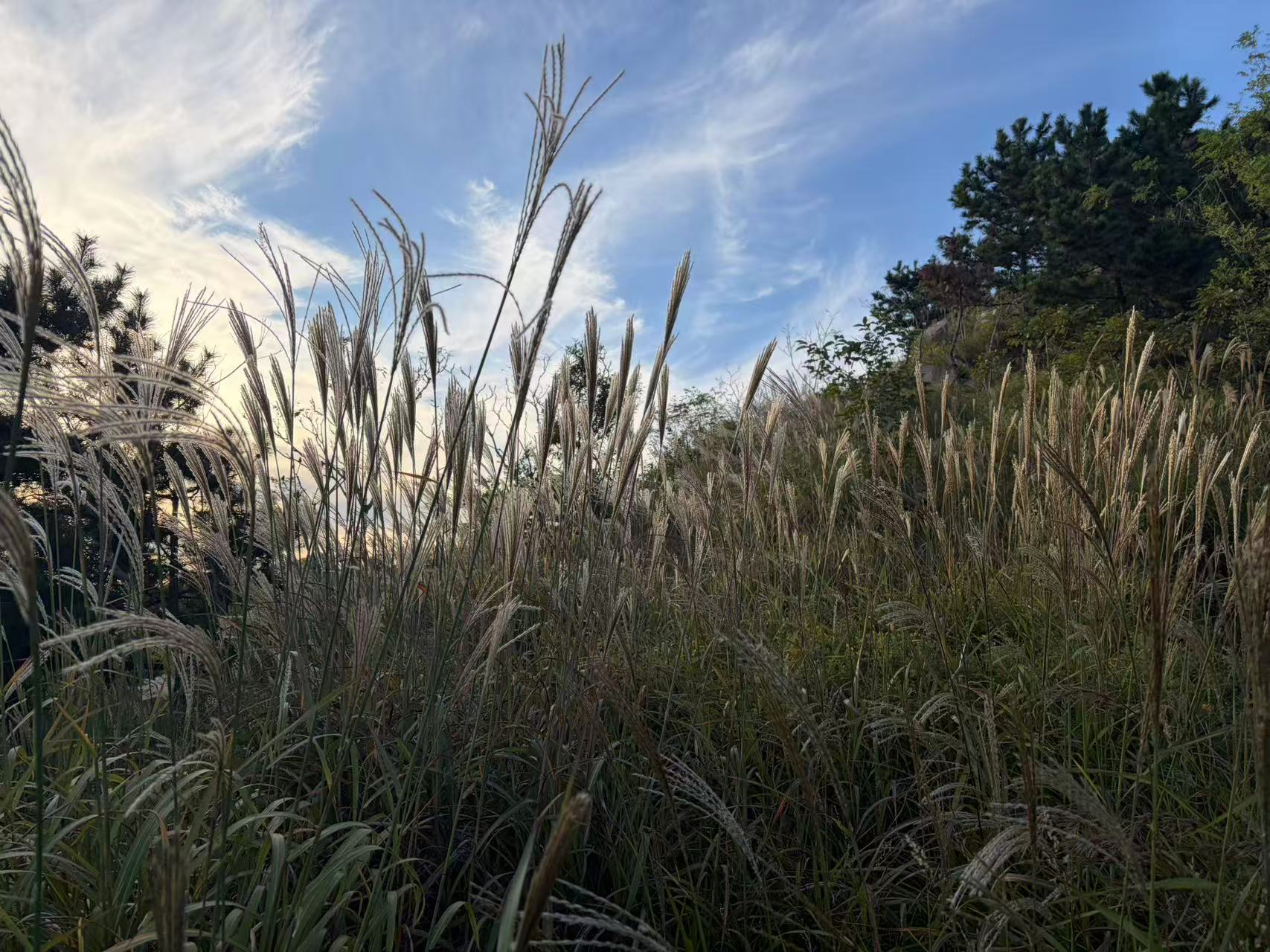 微信图片_20261015172109.jpg