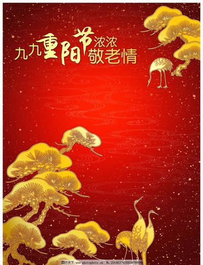 重阳9.jpg